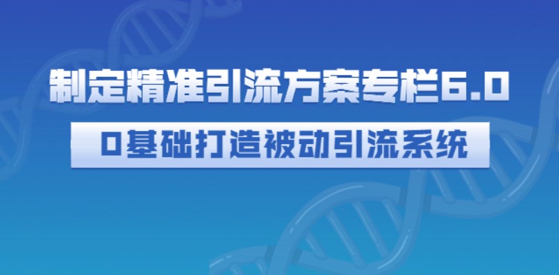 制定精准引流方案专栏6.0 0基础打造被动引流系统